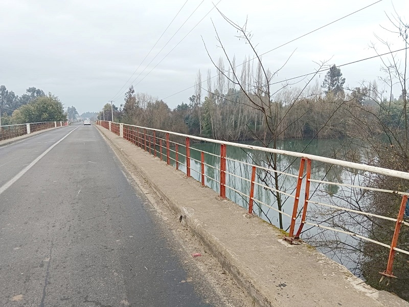 Linares: Carabineros salva a mujer de caída en Puente Putagán camino a Yerbas Buenas