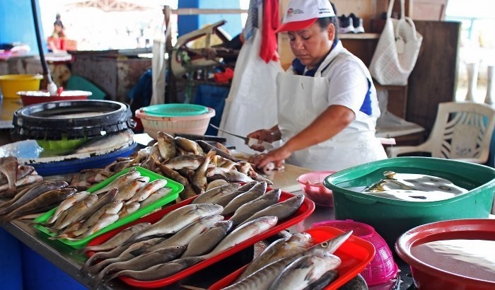 Inician audiencias en regiones por proyecto de nueva Ley de Pesca