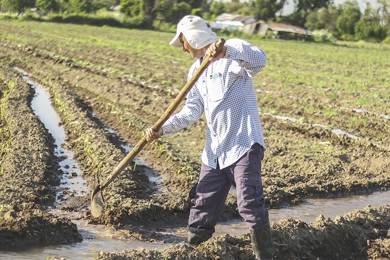 Al menos 29 mil agricultores familiares tienen derechos de agua otorgados por la autoridad, comprados o heredados