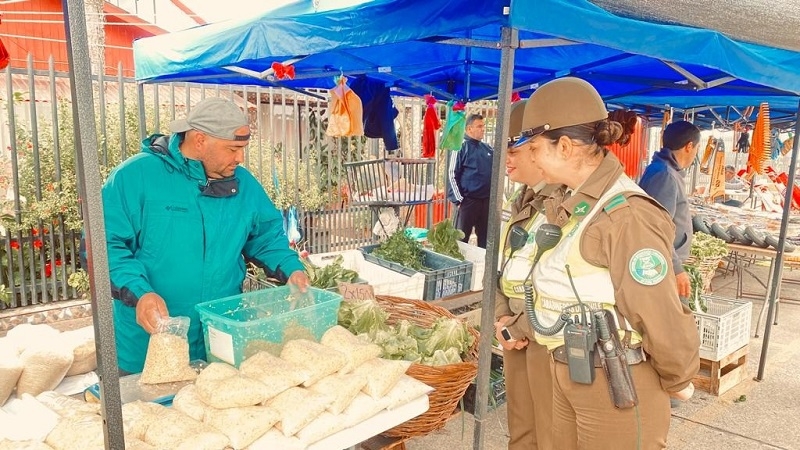 Parral: Carabineros resguarda a la ciudadanía en la prevención de delitos