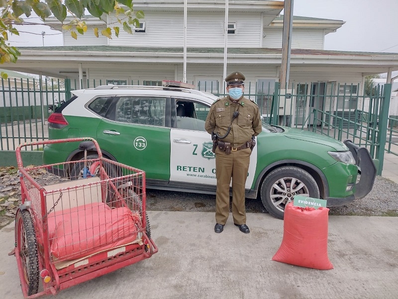 Parral: Carabineros detuvo a 2 sujetos por robo de sacos de avena