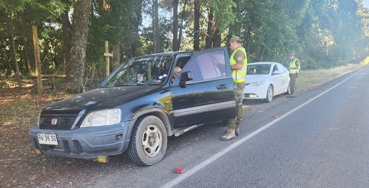 Linares: realizan amplios despliegues de seguridad durante las vacaciones de verano