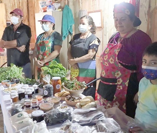 Escuelas de Longaví y Asociación Rayén Mahuida preparan actividades para conmemorar Semana de Pueblos Indígenas