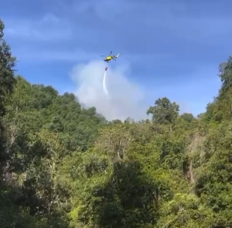 CONAF declara extinguido incendio forestal en sector Los Hualles de Linares.