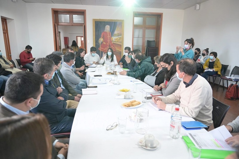 Comenzó el trabajo de la mesa técnica para ayudar a los productores de frutillas del Maule 