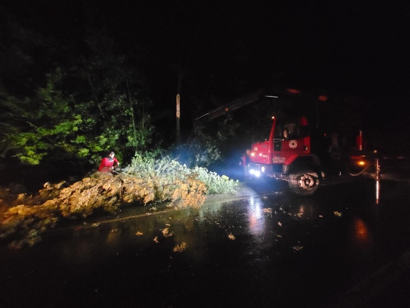 SENAPRED: restablecida comunicación vial en población Malli de Colbún tras lluvias