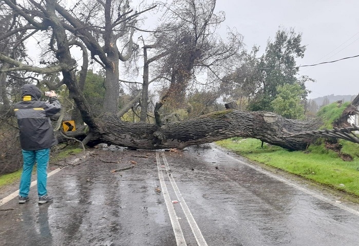 Linares: frente de lluvias provocó colapso de paso nivel y corte de camino en sector Ancoa