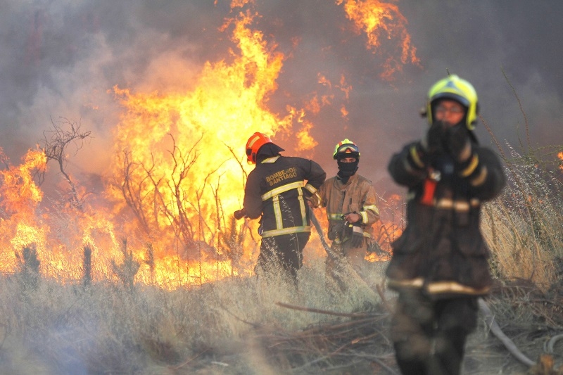 Encuesta Cadem: Bomberos, Carabineros y CONAF, los mejores evaluados por labor en los incendios forestales