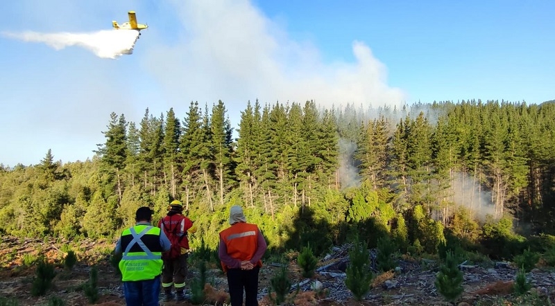 Linares: combate a incendio forestal sector El Nabo