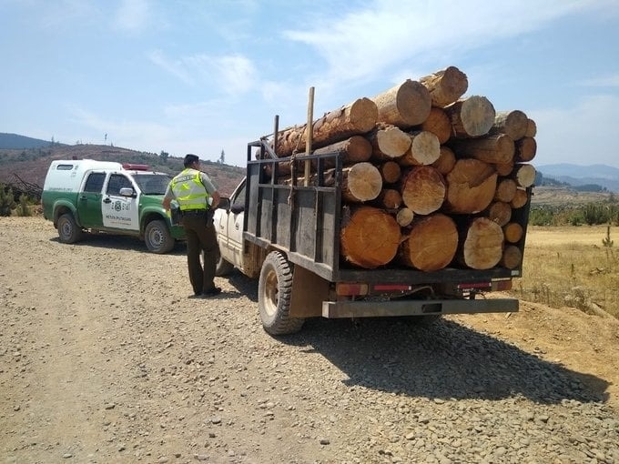 San Javier: Carabineros detuvo a 2 sujetos por hurto de madera en el sector Huerta de Maule