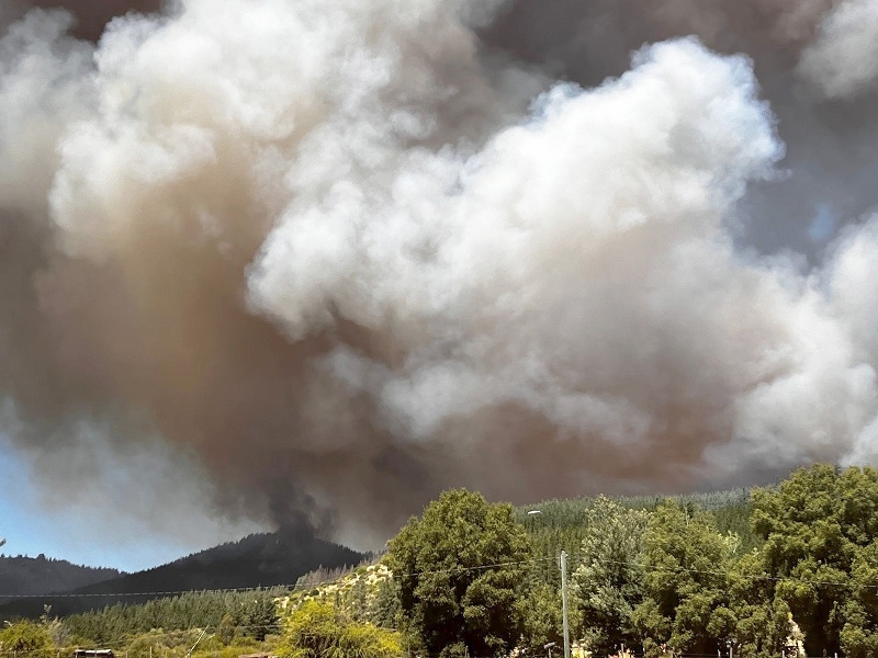 SENAPRED Maule actualizó reporte sobre incendio forestal en comuna de San Javier.