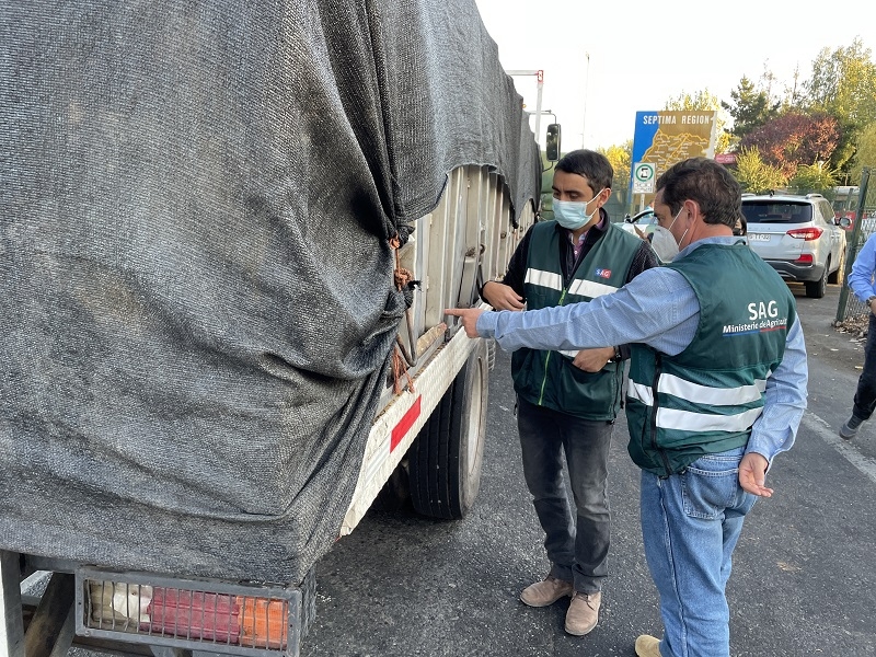  Por Ley de Alcoholes y Programa de Control de Lobesia botrana (Polilla de la Vid): Autoridades acompañan a equipos SAG en fiscalización carretera por vendimia