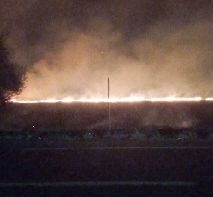 Longaví: Incendio de pastizales movilizó a Bomberos