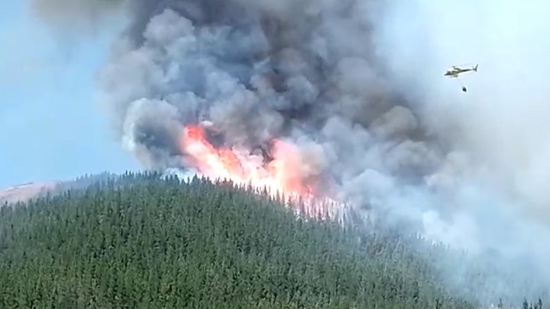 San Javier: SENAPRED Maule actualiza situación de incendio forestal en sector Arbolillo