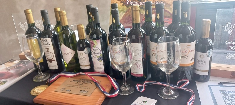 Productores de vinos patrimoniales del Maule participaron en 1° Rueda de Negocios con empresarios turísticos de Constitución