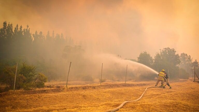 San Javier: Carabineros detuvo a un sujeto por incendio de pastizales y matorrales