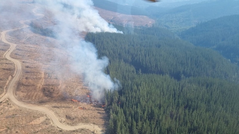 Corma alerta sobre inseguridad para combatir incendios e intencionalidad