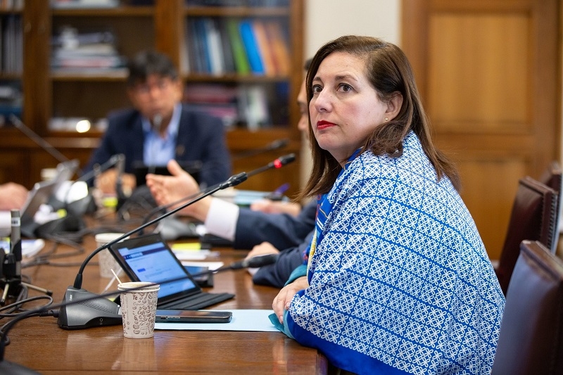 Senadora Vodanovic (PS) advirtió recurrir al TC tras aprobación de medidas perjudiciales para afiliados a Isapres