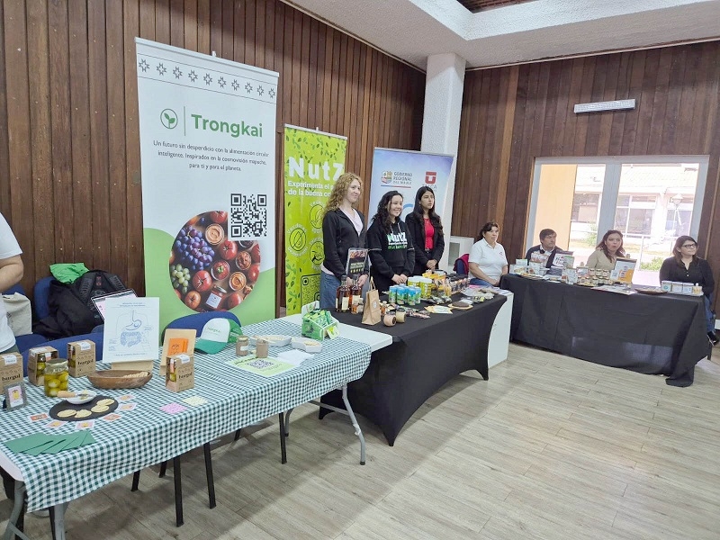 Seminario Maule Alimenta Expertos exponen estándares de calidad e inocuidad a empresas maulinas de alimentos procesados