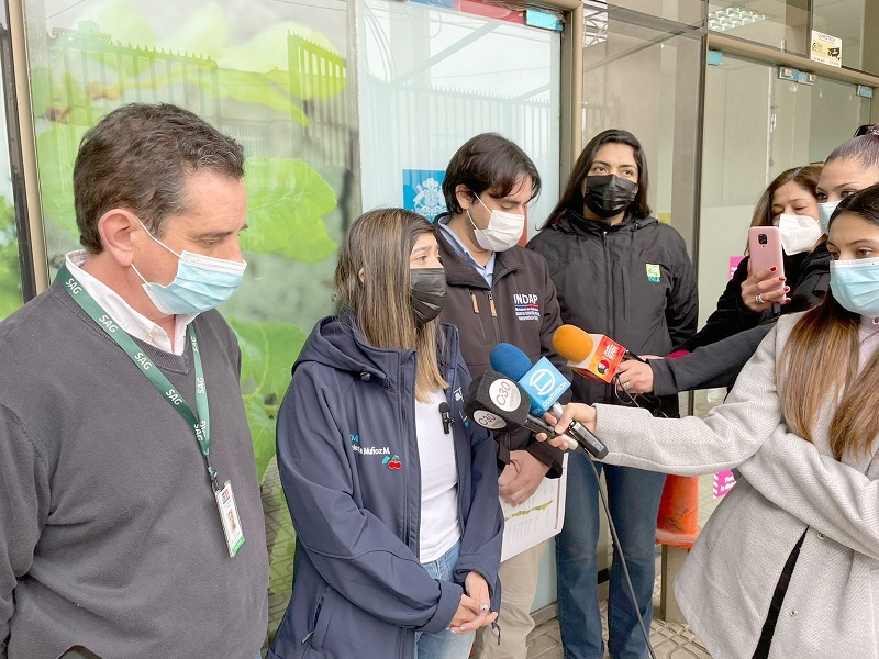 Autoridades del agro en el Maule anuncian medidas por nueva plaga que afecta a la frutilla