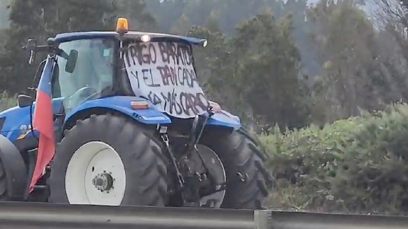 Agricultores de La Araucanía protestaron por "trato injusto" en precio del trigo