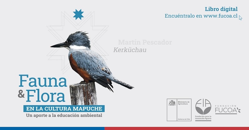 Lanzan libro gratuito dedicado a la flora y fauna en la cultura mapuche