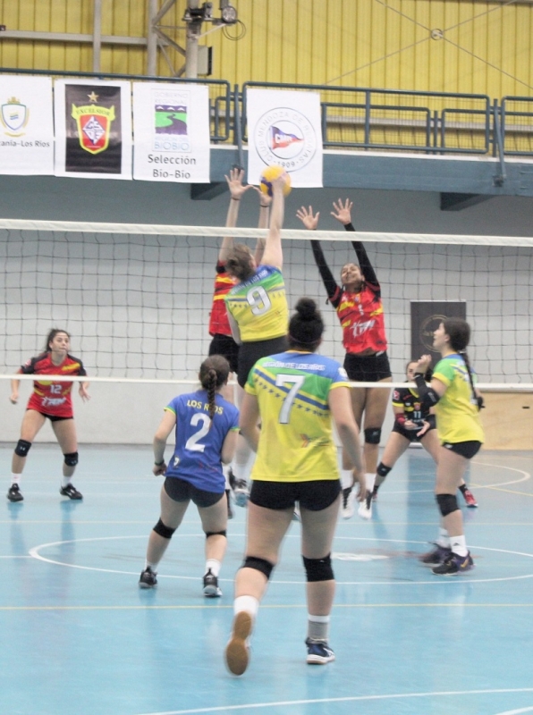 Linares: Esta tarde finaliza Segundo Torneo Internacional de Vóleibol U 18 Damas