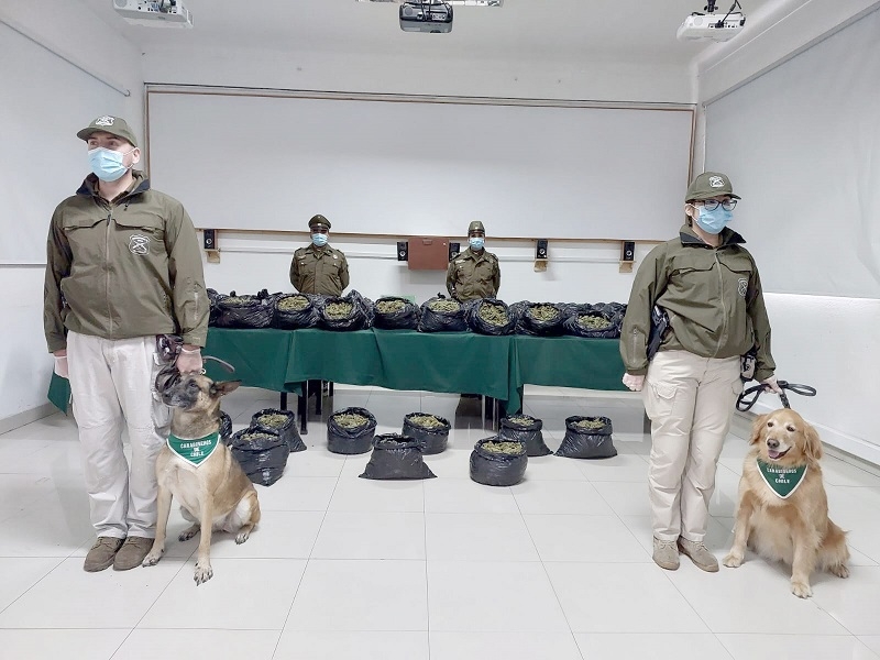 Carabineros del OS-7 en el Maule incautó desde un vehículo  en carretera casi 138 kilos de droga