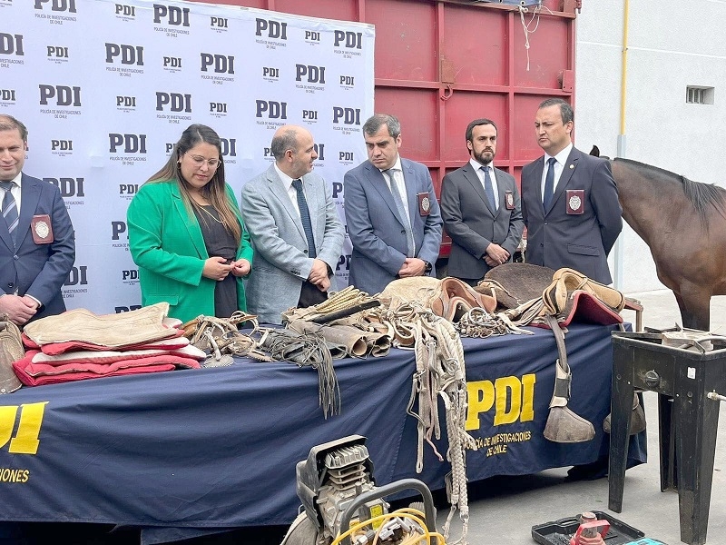 PDI recupera caballos y aperos sustraidos en Linares