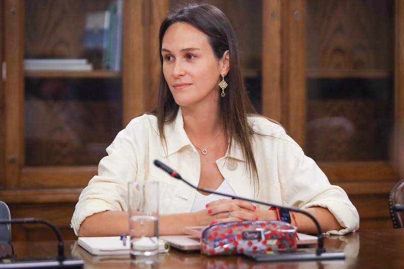 Diputada Labra (Ind-RN) valora tramitación de su proyecto para eliminar la obligación de grabar las patentes