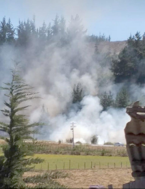 En alerta amarilla comuna de Pencahue por incendio forestal