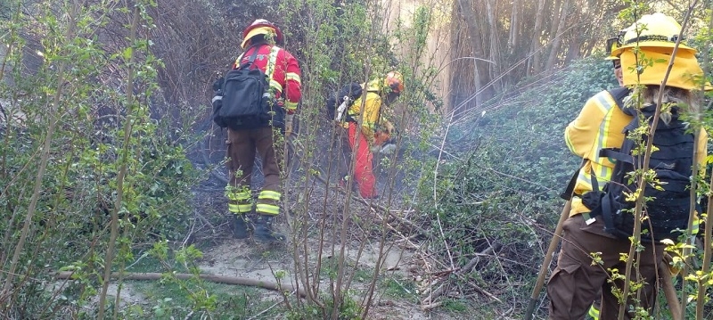 Linares: vecinos alertaron a CONAF de quemas de pastizales en sector Roblería