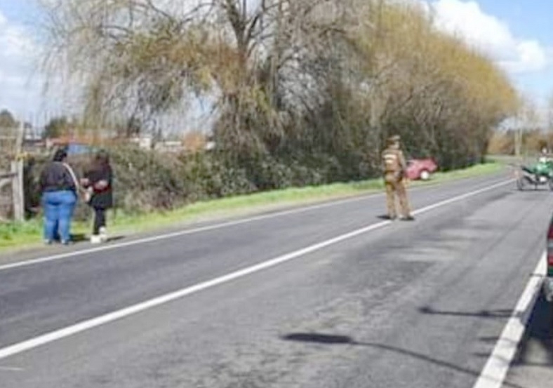 Un fallecido en atropello en ruta Linares – Yerbas Buenas