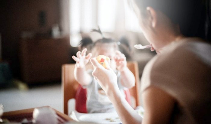 Pensión de alimentos: deudores no podrán adjudicarse programas de Agencia de Investigación y Desarrollo