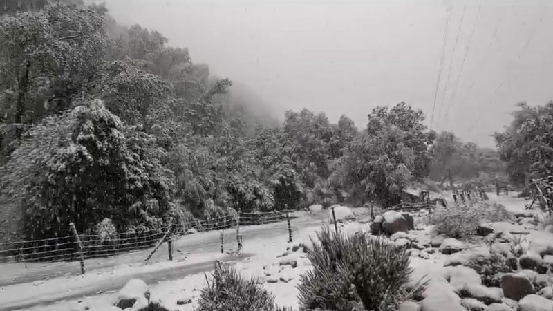 Linares: caída de nieve y lluvias dejó sistema frontal