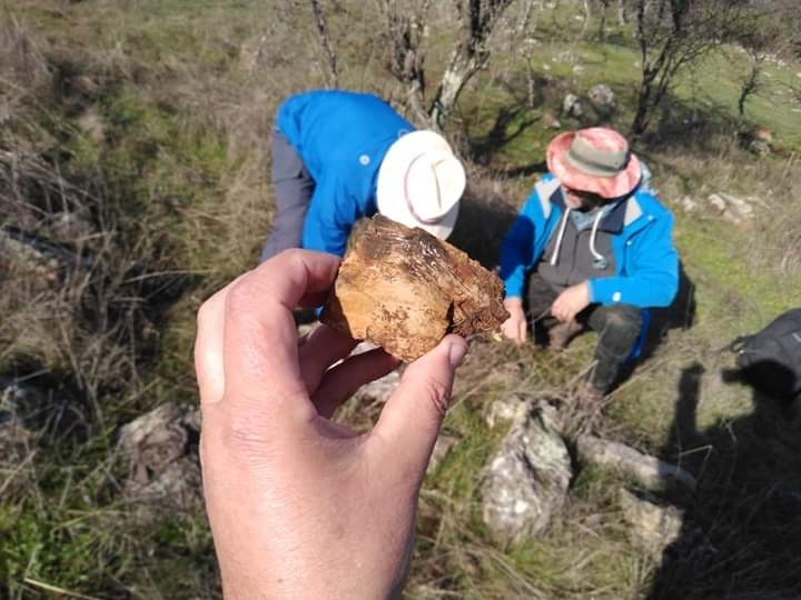 Gúmera y el patrimonio histórico que podría ser sepultado por la basura