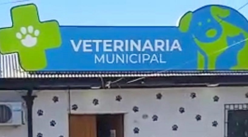 Linares: Investigan segundo robo a Veterinaria Municipal