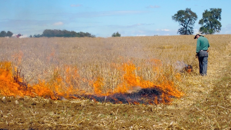 CONAF decretó restricción para el uso del fuego en 11 regiones del país