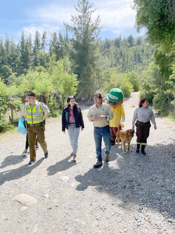 Linares: Carabineros, Senda y Conaf en terreno previenen los incendios forestales en verano