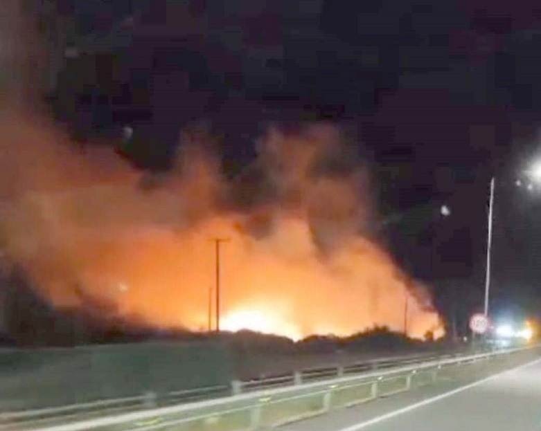 Incendio de pastizales movilizó a Bomberos de Linares hasta sector La Isla