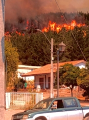 EL INCENDIO FORESTAL: EL HEROICO SALVATAJE DE HUERTA DE MAULE.