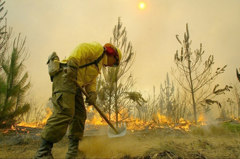 Buscan incluir a las juntas de vecinos en la prevención de incendios