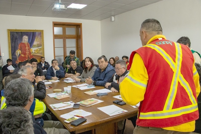 Cauquenes:  realizan simulacro para coordinar trabajo ante incendios forestales