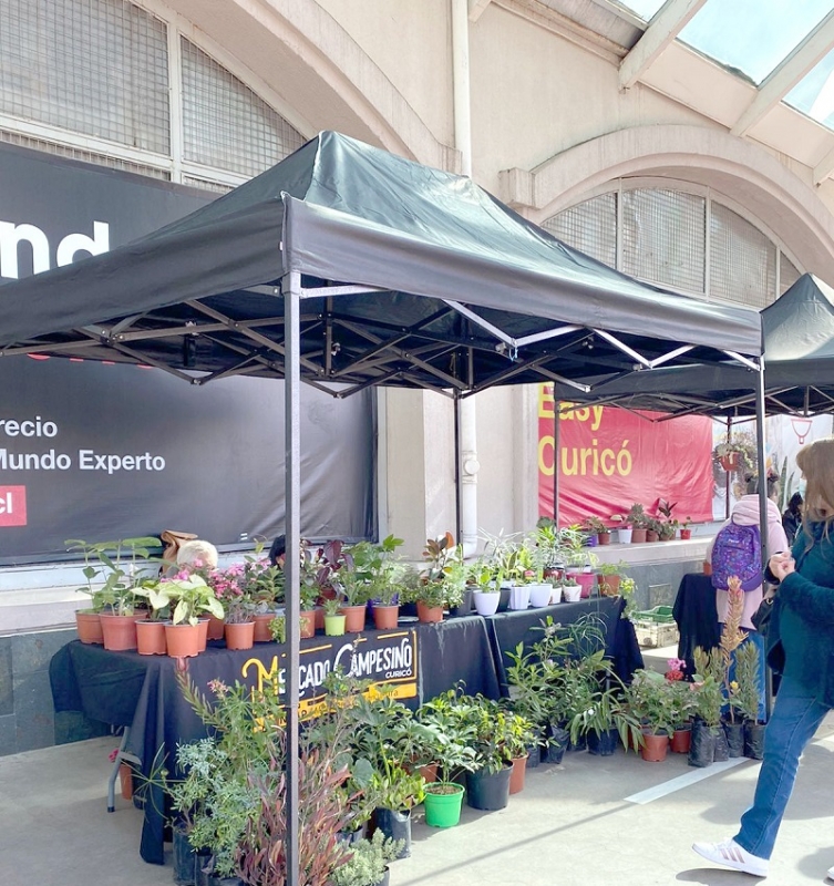 Usuarios de INDAP participan en el mercado campesino en mall de Curicó