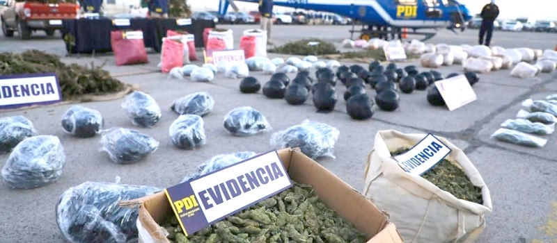 Plan Cannabis: incautación de marihuana aumentó un 300%