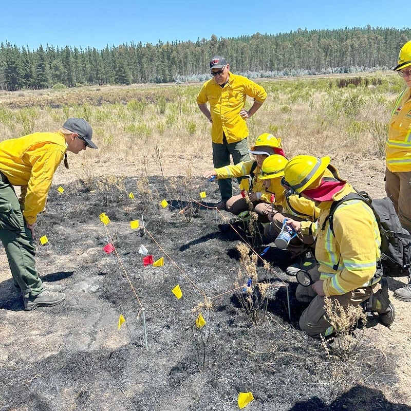 Funcionarios de Conaf se capacitaron en Determinación de Origen y Causas de Incendios Forestales 