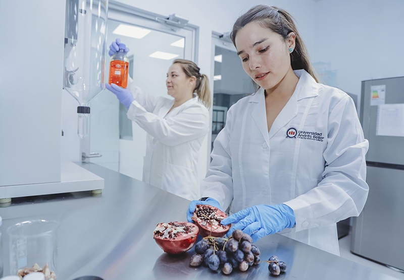 Encuentro con agroindustria del Maule abordará innovaciones para reducir residuos, mejorar suelos de cultivo y aumentar la productividad