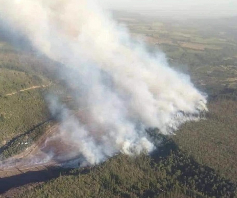 CONAF y ONEMI actualizan situación de incendios forestales que afectan desde el fin de semana al Maule