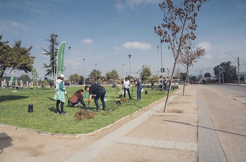 Fundación Reforestemos inicia temporada de arbolado urbano plantando más de 2.000 árboles nativos en cinco regiones del país  