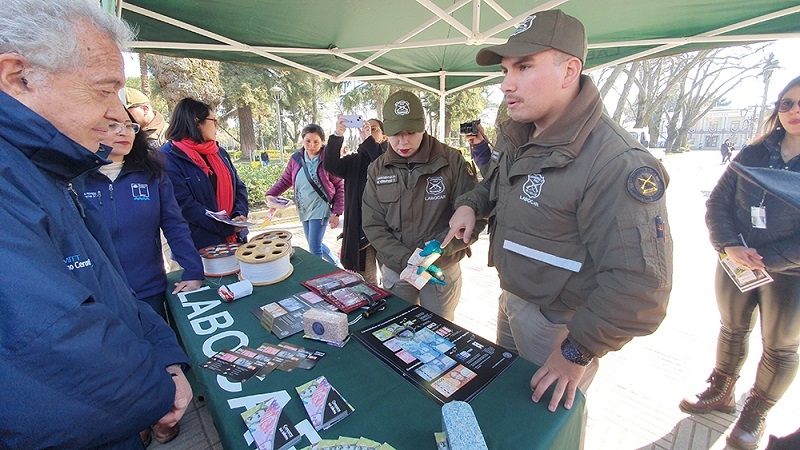 Linares: fortalecen mensaje preventivo contra estafas, accidentes y uso de hilo curado en Fiestas Patrias